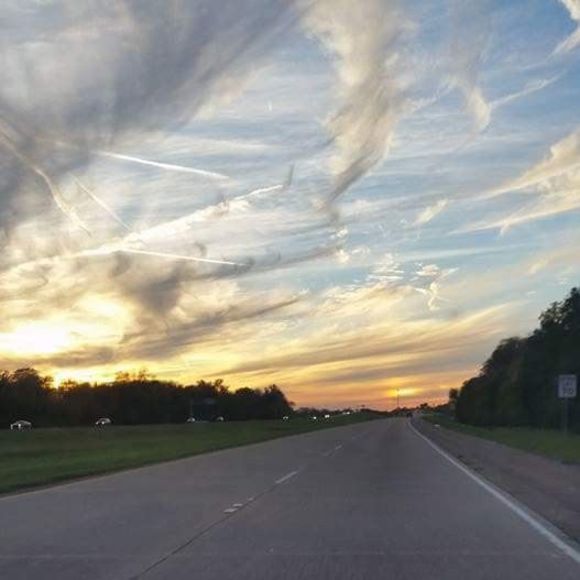 Meet your Posher, Amy - Picture 1 of 1